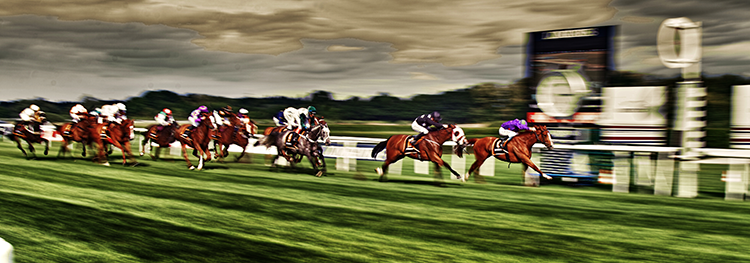 The Pferderennen Gallopers at Newmarket Talk.
